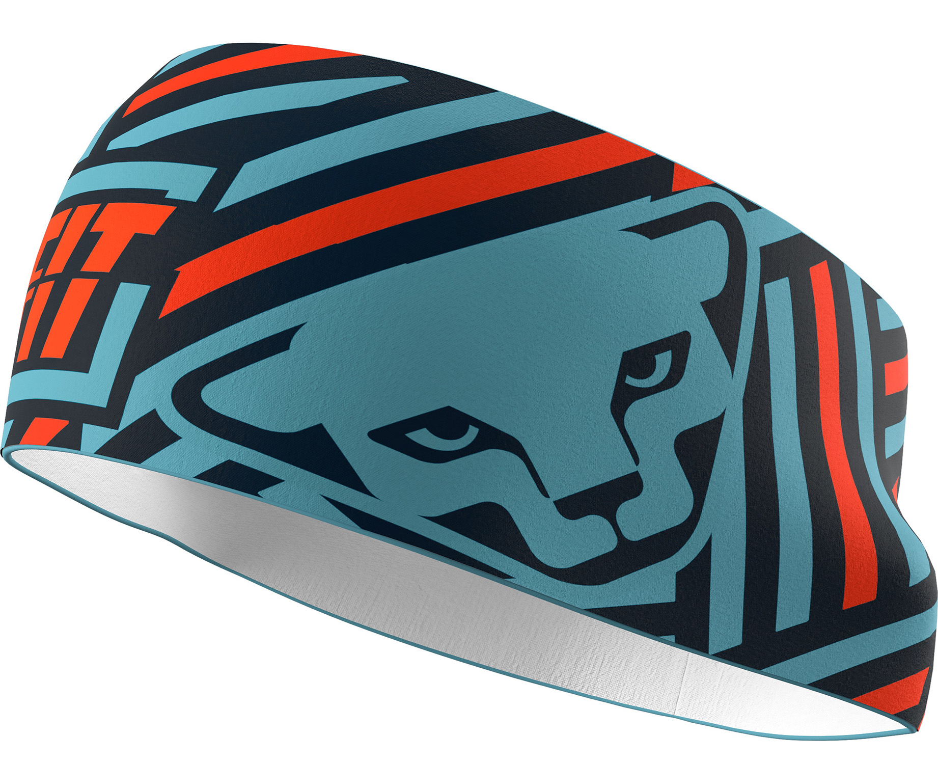 Dynafit Graphic Performance Stirnband Storm Blue 22583