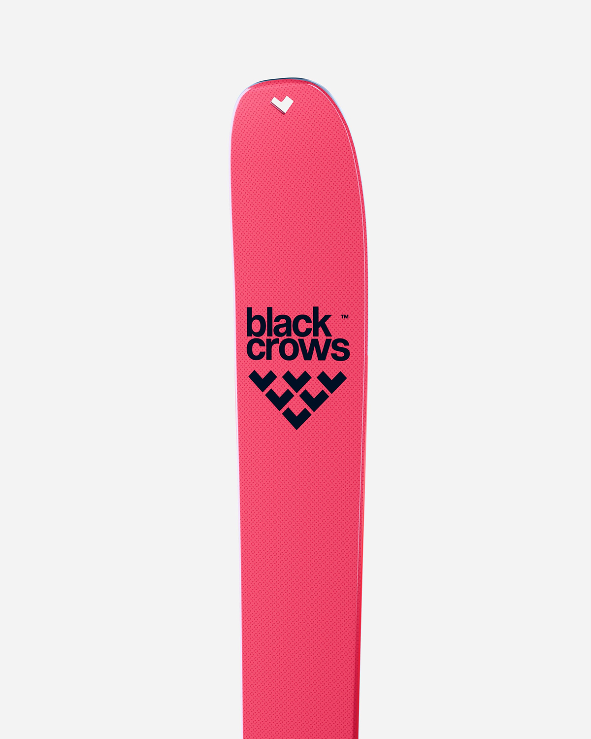 Black Crows Draco Freebird Tourenski 26/27