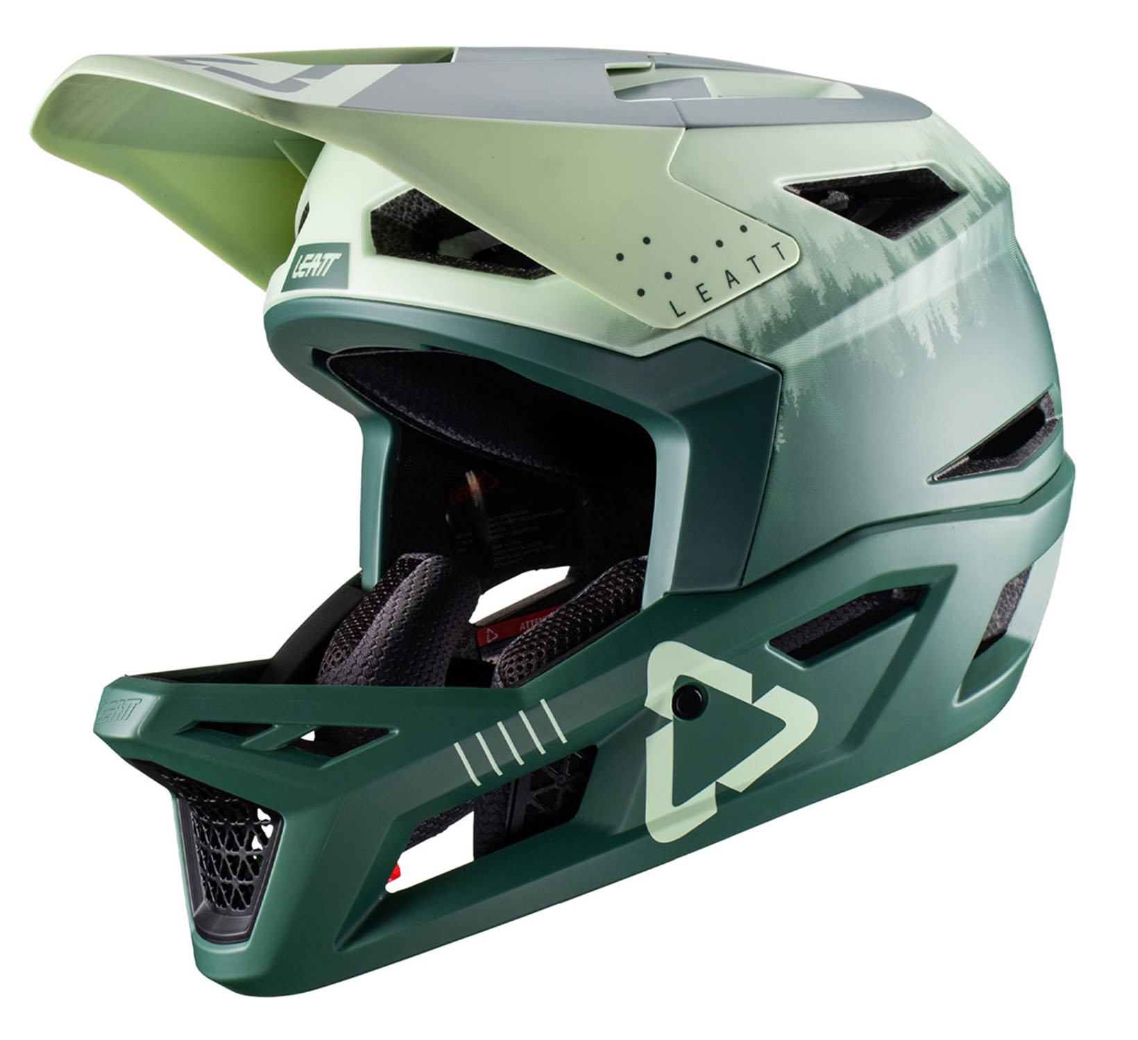 Leatt MTB Gravity 4.0 Bike Helm Ivy 21826