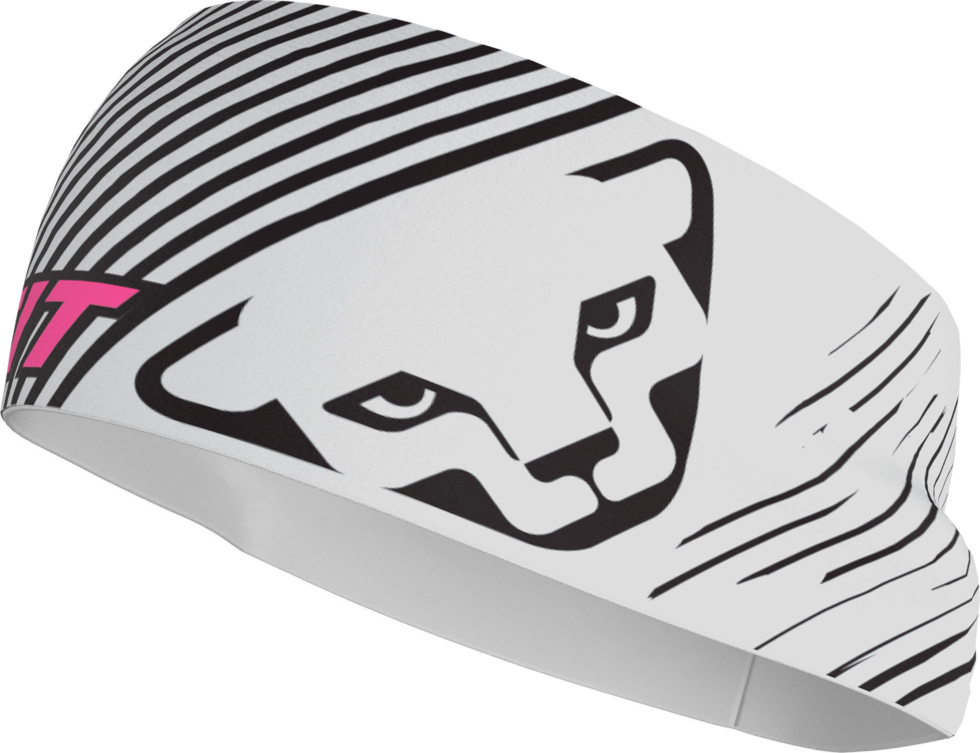 Dynafit Graphic Performance Stirnband Nimbus 20653
