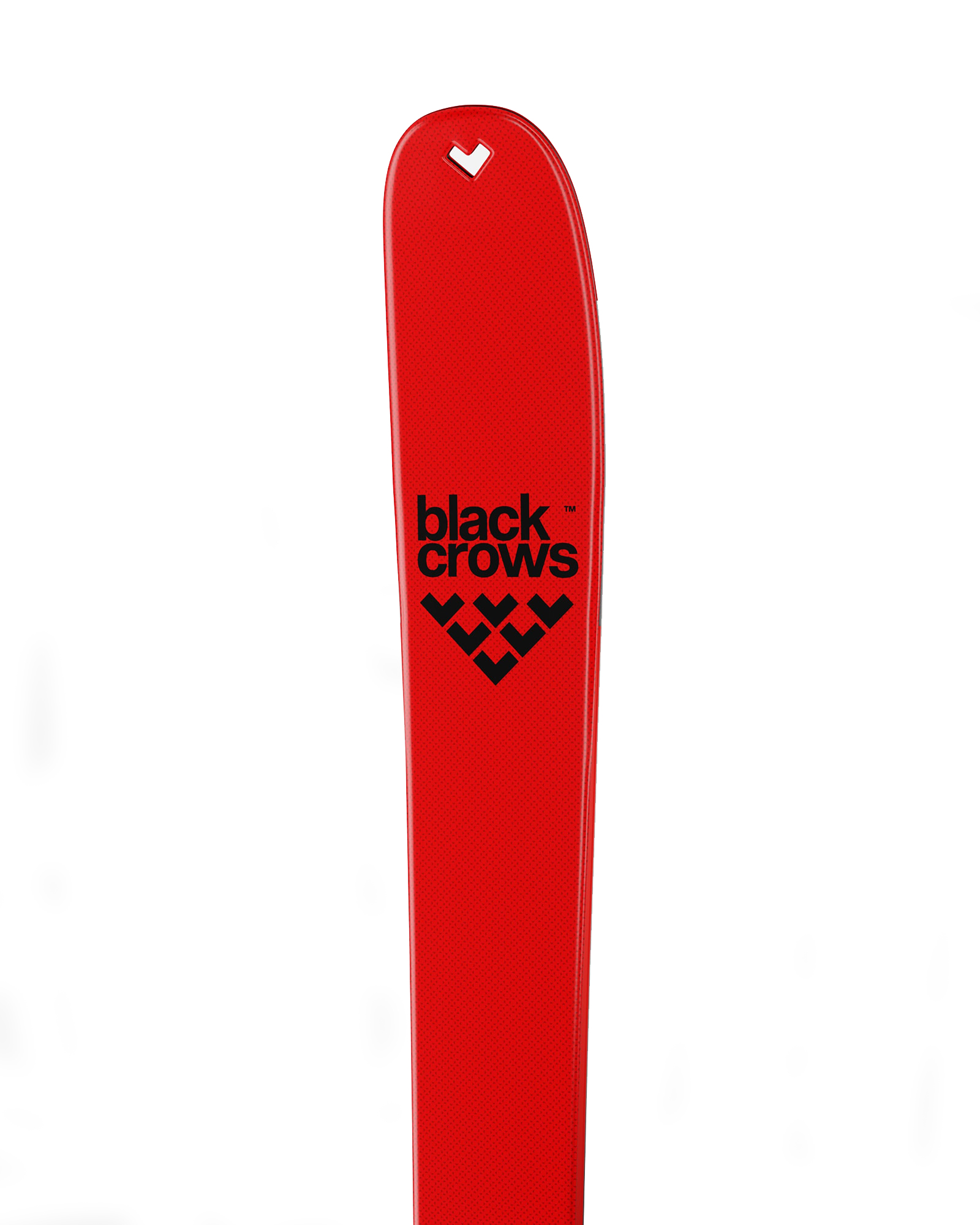 Black Crows Camox Freebird Tourenski 26/27