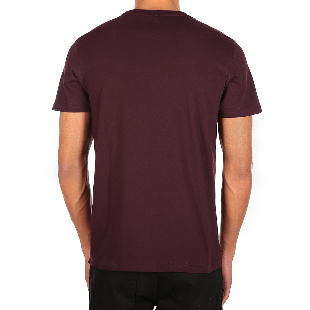 Iriedaily Chestflag T-Shirt Aubergine